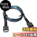 【送料無料】chenyang OCuLink PCIe PCI-Express SFF-8611 4i - OCuLink SFF-8611 SSD データアクティブケーブル 50cm