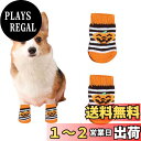 【送料無料】犬 靴下 4個セット ハロウィン カボチャ 犬用靴下 滑り止め 脱げない 犬 ソックス 肉球保護 防寒 可愛い ペット 靴下 舐め防止 汚れ防止 室内 室外 お出かけ 小型犬 中型犬 (オレンジ カボチャ B, S)