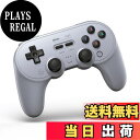 【送料無料】8Bitdo Pro 2 ゲームパッド(Gray バージョン) NS Switch・PC・Android・macOS・Steam Deck・iPhone・iPad・macOS・Apple TV・Respberry Pi用