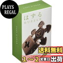 【送料無料】ハナヤマ(HANAYAMA) はずすパズル はずる CAST O'GEAR (キャスト オーギア) 【難易度レベル3】