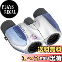 【送料無料】OM SYSTEM/オリンパス 双眼鏡 8X21 DPC I 小型軽量 8倍 ライブ鑑賞/スポーツ観戦/旅行/芸術鑑賞/動物園