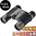 【送料無料】Nikon 双眼鏡 HG Lシリーズ 10×25HG L DCF ダハプリズム式 10倍25口径 10X25HGL (日本製)