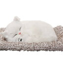 【送料無料】竹炭消臭剤 ぬいぐるみ猫 空気清浄バッグ 無毒 無香料 活性炭 脱臭 抗菌 乾燥 部屋 車内 事務所 玄関用 繰り返し利用可能 4種類 (白い猫)
