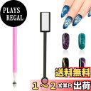 【送料無料】DELUXEFOX ネイル用マグネット マグネットネイル ネイルツール (2個セット) マグネットスティック ネイル マグネット 両端花柄マグネット 3Dキャットアイ磁石 ジェルネイル マグネット 磁気 強力 マニキュアツール ホームDIYマニキュア用 マニキュア店用