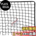 【送料無料】AKOZLIN 硬式・軟式用野球ネット 3m×1m~3m×10m ぼうきゅうネット 野球練習ネット 投球練習 30本の結束バンド付き 組立簡単 ブラック