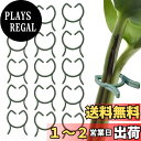 【送料無料】PAVIKE 洋蘭 植物用クリップ 60個入り 植物支柱クリップ 園芸クリップ 接ぎ木クリップ 支柱誘引クリップ 耐久性 栽培 再利用可能 ガーデン...