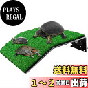 【送料無料】Jiayichengju カメ浮島 大型浮島シンクテーブル浮島カメ天窓日光浴 シンクプラットフフォームハイカラープラットフォーム生息地クライミングス...