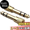 【送料無料】LUYING イヤホンジャック 変換 プラグ ステレオミニプラグ 6.35mm 3.5mm(メス)ステレオ標準プラグ(オス) 変換 アダプタ メスオス ヘッドホン アンプ 電子ピアノ イヤホンなど用/アンプ/電子ピアノ/イヤホン/ミキサー/プレーヤーなどに対応 (2)