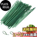 【送料無料】LYHMHAMY 結束バンド 園芸クリップ 30本入り 植物のツイストタイ 植物ベルト 結束バンド プラスチック結束バンド 苗木 固定 園芸用具 園...