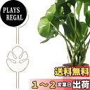 【送料無料】【Charming Club】園芸支柱 モンステラ 支柱 観葉植物 サポート モンステラフラワースタンド 花支架 ガーデニング 長期間使用 農業用 ...