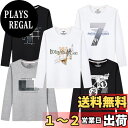 【送料無料】Sukinana Tシャツ メンズ 半袖 綿100% 5点セット インナーシャツ 肌着 スポーツ シャツ 下着 軽い 柔らかい 快適 カジュアル おしゃれ メンズ 服 春 夏 秋 冬 (L, 長袖)