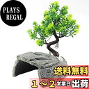 【送料無料】OMEM爬虫類 シェルター、ウェットシェルター、亀 隠れ家、ひげ龍生息地の装飾 (L