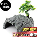 【送料無料】OMEM爬虫類 シェルター、ウェットシェルター、亀 隠れ家、ひげ龍生息地の装飾 (XL)