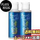 【送料無料】鈴木ハーブ研究所 パイナップル豆乳ローション メンズ用 アフターシェーブ 脱毛 除毛 抑毛 (100ml, 2)