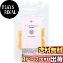 【送料無料】自然化粧品研究所 キャンデリラワックス 化粧品原料 20g