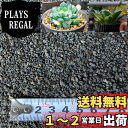 【送料無料】Leap Raupe 富士砂 化粧砂 黒 ノンウォッシュ (NW 細粒 1L)