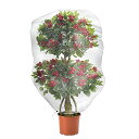 【送料無料】AVILMORE 防虫ネット メッシュ巾着式 植物保護カバー 防虫網 虫除けネット 野菜栽培 プランター用 防虫カバー 鉢植え用 果実保護 鳥対策 ...