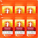 【送料無料】オーガランド (ogaland) イミダゾールジペプチド (360カプセル / 約6ヶ月分) 元気 サポート サプリ (アミノ酸/クエン酸/リンゴ酸) 健康サポート サプリメント