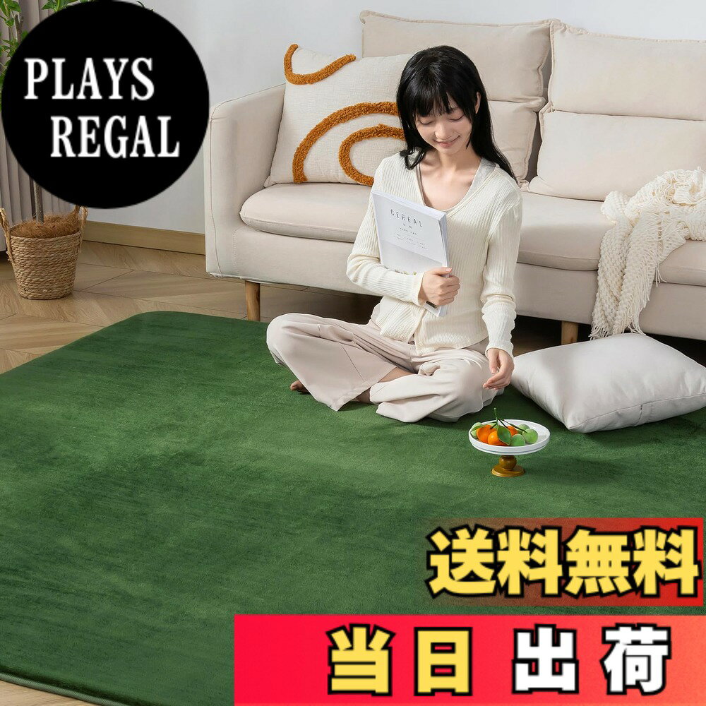 商品情報商品の説明主な仕様 【高反発カーペット】厚さは約25mm高反発ラグマットの踏み心地がすごくふんわりして、底付き感を感じずゆったりリラックスします。体圧をバランス分散し、長時間座っていても疲れにくい。ウレタンクッションで防音効果も抜群で、物の落下や足音など床から階下へ伝わる騒音を軽減することができ、防音ラグとして、心地よい暮らしをサポートします！【オールシーズンお楽しみに】絨毯表面は細く柔らかなフランネル生地を高密度に敷き詰めることで、さらさら、ふわふわして優しい肌触りを実現します。極細マイクロファイバーは軽くて、保温性や速乾性も優れているので、夏はサラッと冬はあたたかい！床暖房・ホットカーペットも対応し、底冷えする季節も足元がぽかぽか暖かいです。【滑り止め・抗菌・防ダニ】衛生的にご使用いただけるよう抗菌・防臭・防ダニ加工を加えます。カーペットの裏面にはゴム製の滑り止め加工があり、フローリングに敷いても滑りにくく、安全のノンホルム仕様なのでお年寄りやお子様やペットがいるご家庭でも安心です。【お手入れ楽に】毛足の長さは約4mm、短毛ラグなので、ゴミやほこりが絡まりにくい、掃除機で簡単に掃除可能です。うっかり飲み物をこぼしても、すぐに拭き取れば大丈夫です。【ラグ仕様】表地：ポリエステル100%　中材：ウレタンフォーム　裏地：ポリエステル100% 不織布 。サイズ：200x250cm 約3畳。毛足約4mm、ノンスリップ不織布約1mm、ウレタン 約20mm、全厚さ約25mmです。