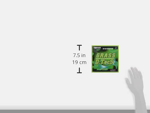 PLAYS REGALの【送料無料】ティバー(TIBHAR) 卓球 ラバー グラスディーテックス ハイテンション粒高 BT018702 黒 OX｜アングル3