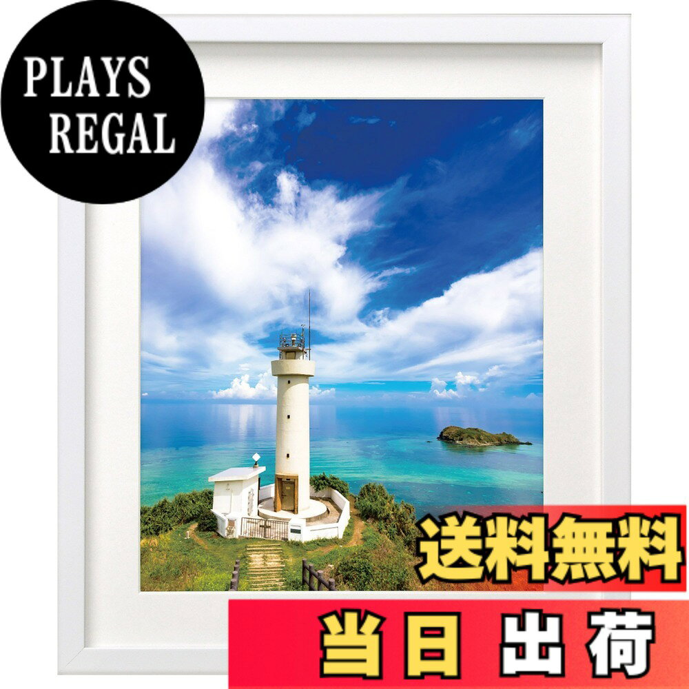 ������̵���ۥϥ��� HAKUBA �۱� MM-01 4�� ���� �ۥ磻�� FWMM01-WT4