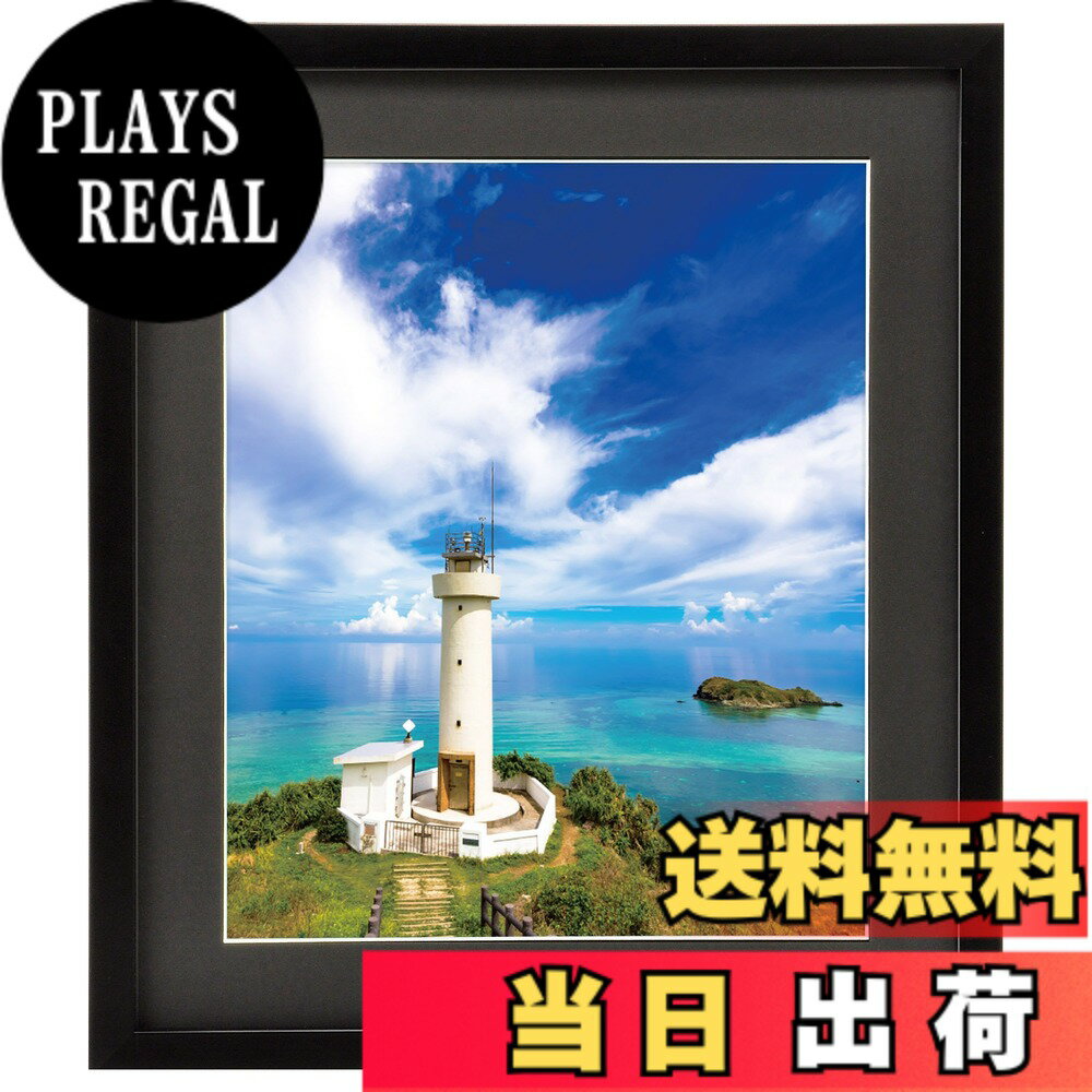 ������̵���ۥϥ��� HAKUBA �۱� MM-01 4�� ���� �֥�å� FWMM01-BK4