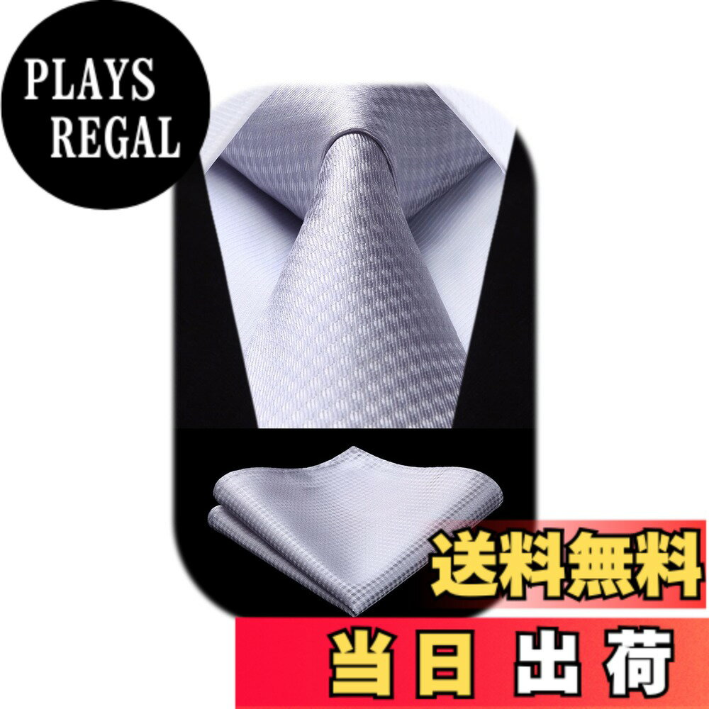 【送料無料】[HISDERN] フォーマル シルバー ネクタイ チーフ セット メンズ 結婚式 柄 シルク ブランド 紳士 礼服用 ビジネス 入学式 卒業式 プレゼント 高級HC-01
