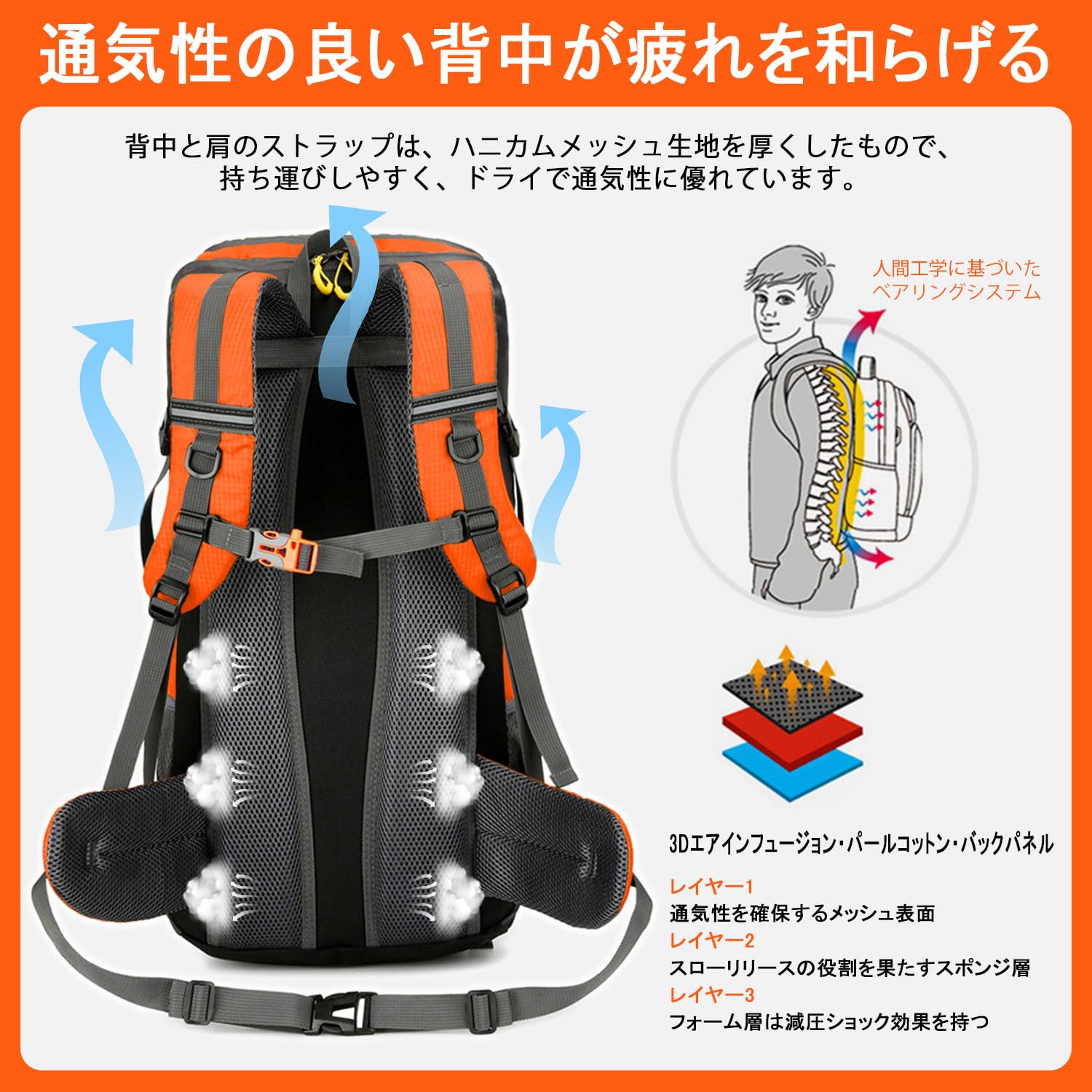 【送料無料】[Taeku] ハイキング バックパック 50L 防水 折りたたみ 登山リュックザック 軽量 大容量コンパクト 旅行 遠足 通勤 便利 男女兼用 デイパック マウンテン キャンプ トレッキング アウトドア トラベル用(ライム) plays23-11840847 PLAYS REGAL サンプル画像3