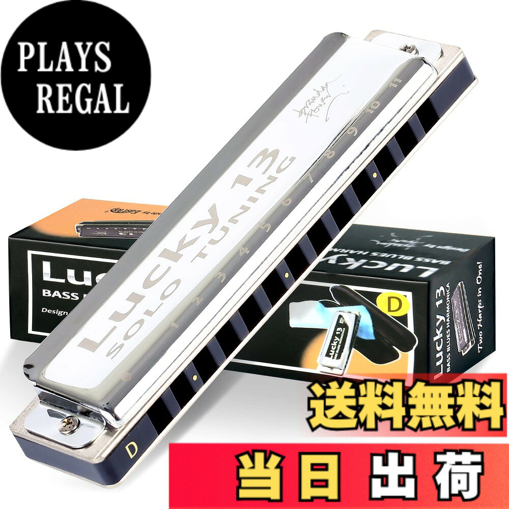 【送料無料】East top ハーモニカ ブルースハーモニカ 13ホール D ジャズ専門家 大人用 子供用 勉強 練習用 真鍮カバー キャンバスケース Lucky13 (solo-D)
