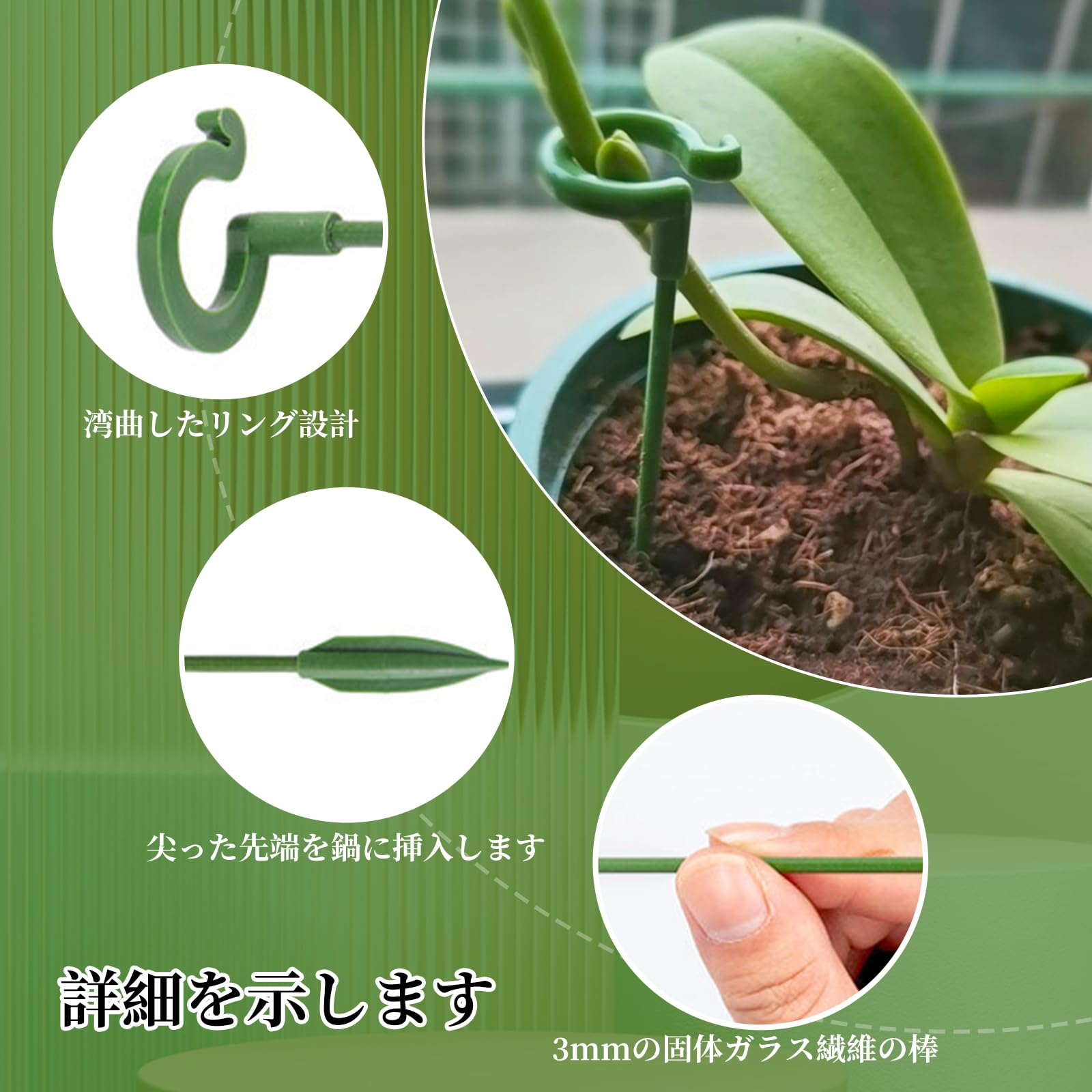 【送料無料】Coollooda 園芸支柱【20本組セット】観葉支柱 植物支柱 花ささえ 観葉...