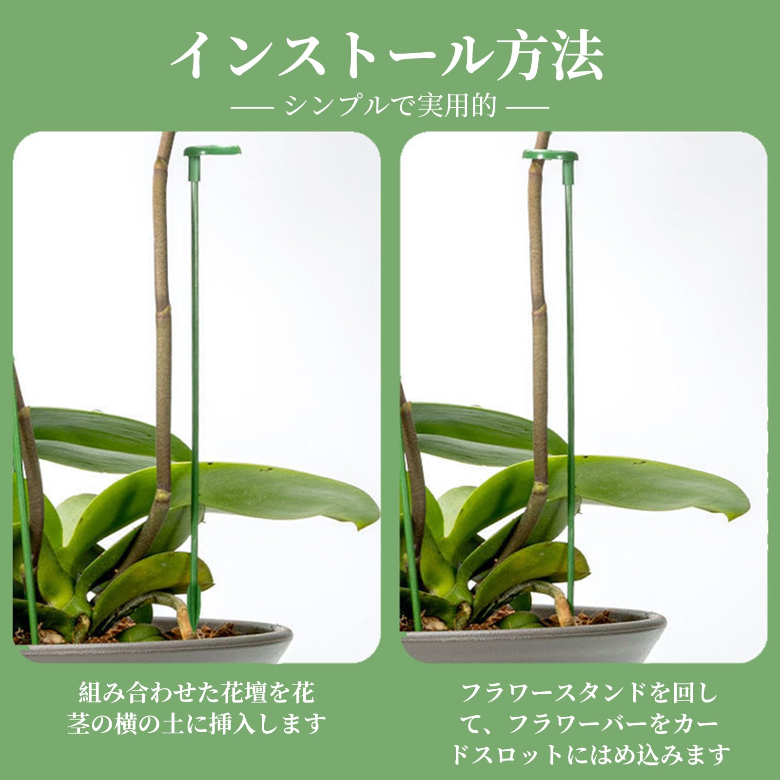 【送料無料】Coollooda 園芸支柱【20本組セット】観葉支柱 植物支柱 花ささえ 観葉...