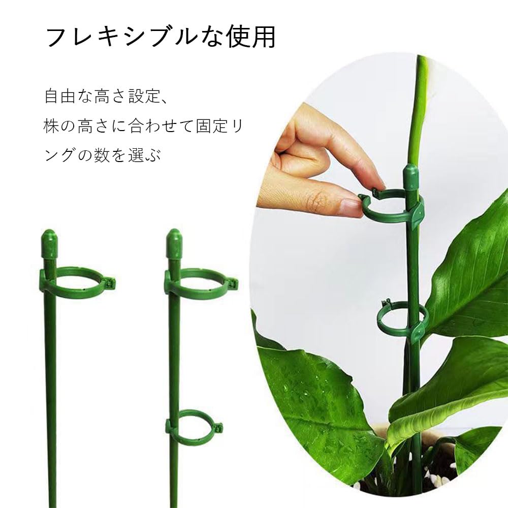【送料無料】BIUTEFOR 支柱 園芸 植物支柱 観葉植物 支柱 【花支柱*10個/フォルダ*...