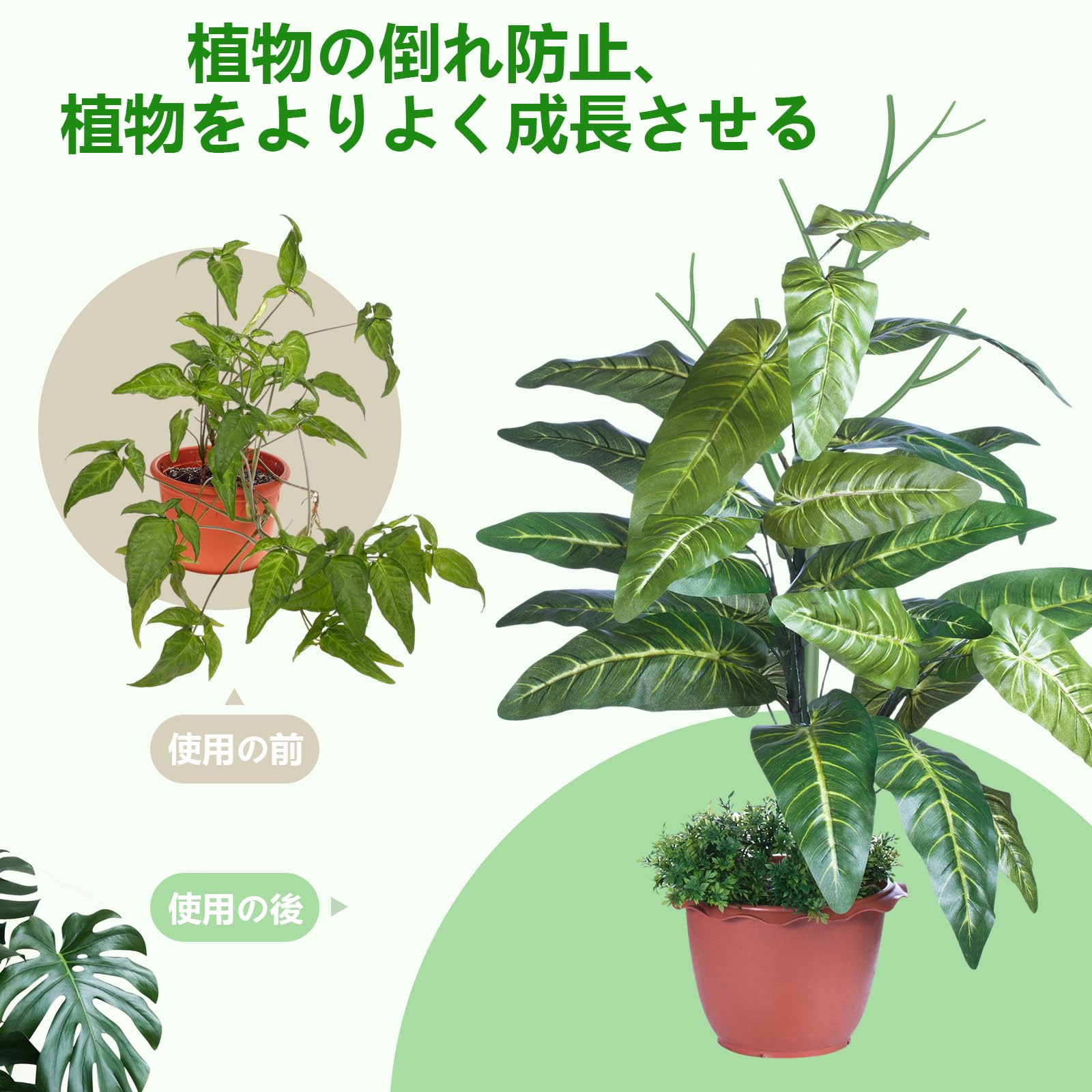【送料無料】【Charming Club】園芸支柱 モンステラ 支柱 観葉植物 植物サポート ...
