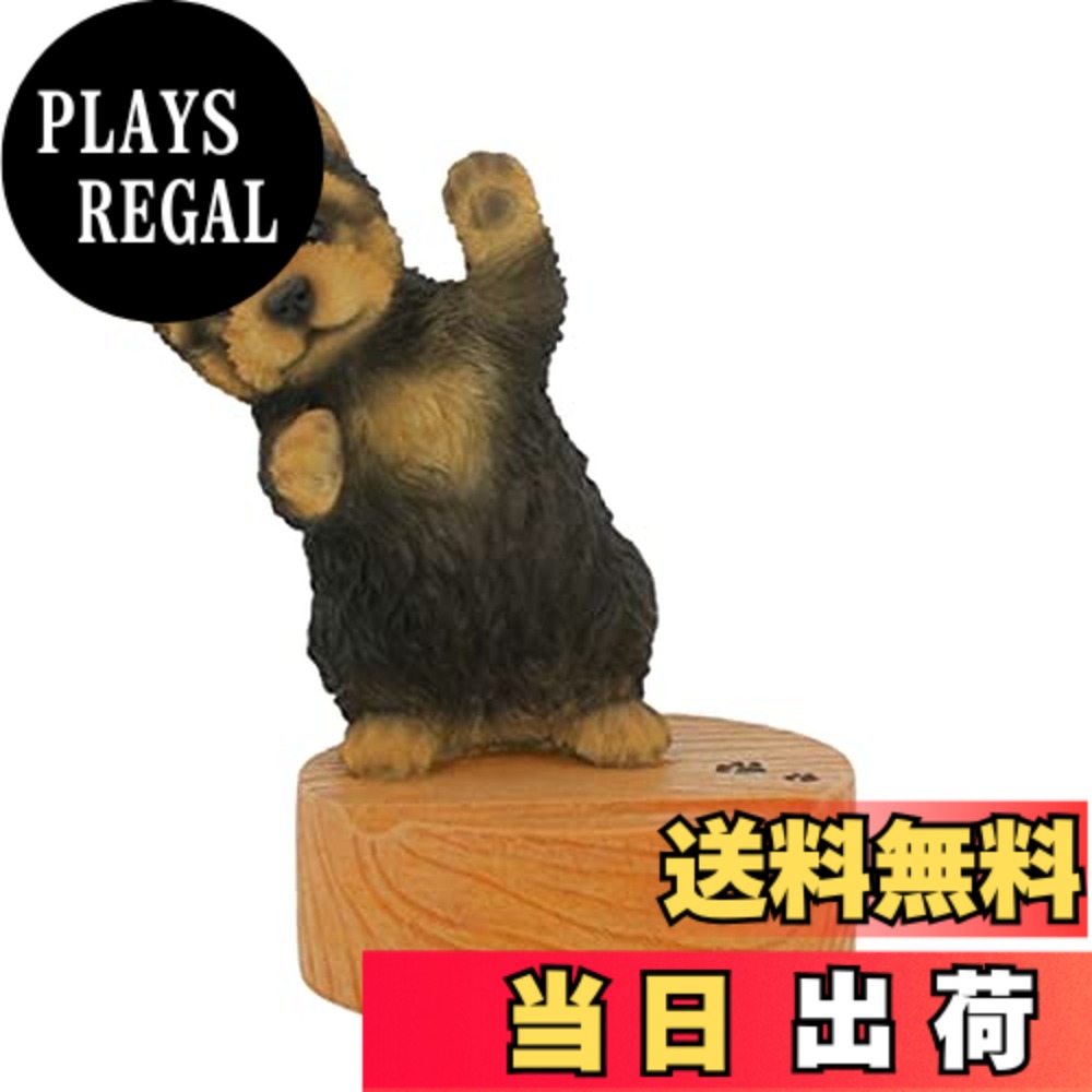 商品情報商品の説明-主な仕様 サイズ : φ10xH4(15-17)cm　　重量：380-400gbr素材 : ポリレジン注意事項 : 直射日光や風雨で変色する場合があります。