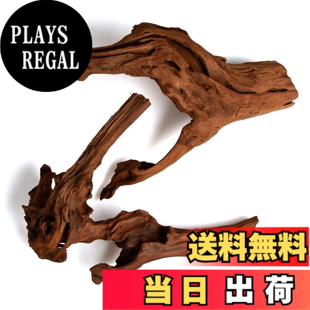商品情報商品の説明【内容】 Mopani（モパニ）流木 2個セット。サイズ目安：Sサイズ 8−12インチ（約20−30cm）。写真は一例で、形状・色味・大きさには個体差があります。 【特長】 二色の木肌と緻密な木質が魅力。小型水槽でも扱いやすく、水草やコケとの相性も良好。小型魚やエビの隠れ家としても機能します。 【使用前の下処理手順】 大きめの鍋で1−2時間の煮沸を数回行ってください。 その後、清水に1−2週間の浸け置きを推奨します。 タンニンにより水が茶色くなる場合は、こまめな水替えで徐々に薄まります。 ※十分な下処理により沈みやすくなります。 【注意事項】 天然素材のため小さな割れ・ささくれ・樹皮の残りがある場合があります。取り扱い時は手袋の着用を推奨します。 まれに浮力が残る個体は重しを併用してください。写真は一例で、届く品はランダムとなります。 【用途例】 苔木アレンジ／流木レイアウト／小型魚やエビの隠れ家／爬虫類レイアウト など。主な仕様 【サイズと内容】 2個セット／S 8−12インチ（約20−30cm）。写真は一例、個体差があります。【質感と存在感】 二色の木肌と緻密な木質。小型水槽でも扱いやすく、自然な立体感をプラス。【用途が広い】 アクア/パルダ/テラリウム/爬虫類ケージ。小型魚やエビの隠れ家づくりに。【下処理のすすめ】 煮沸1−2時間x数回 → 浸け置き1−2週間。タンニン着色はこまめな水替えで軽減。【注意事項】 割れ・ささくれ・樹皮残りがある場合あり。手袋着用推奨。浮力が残る個体は重しを併用。