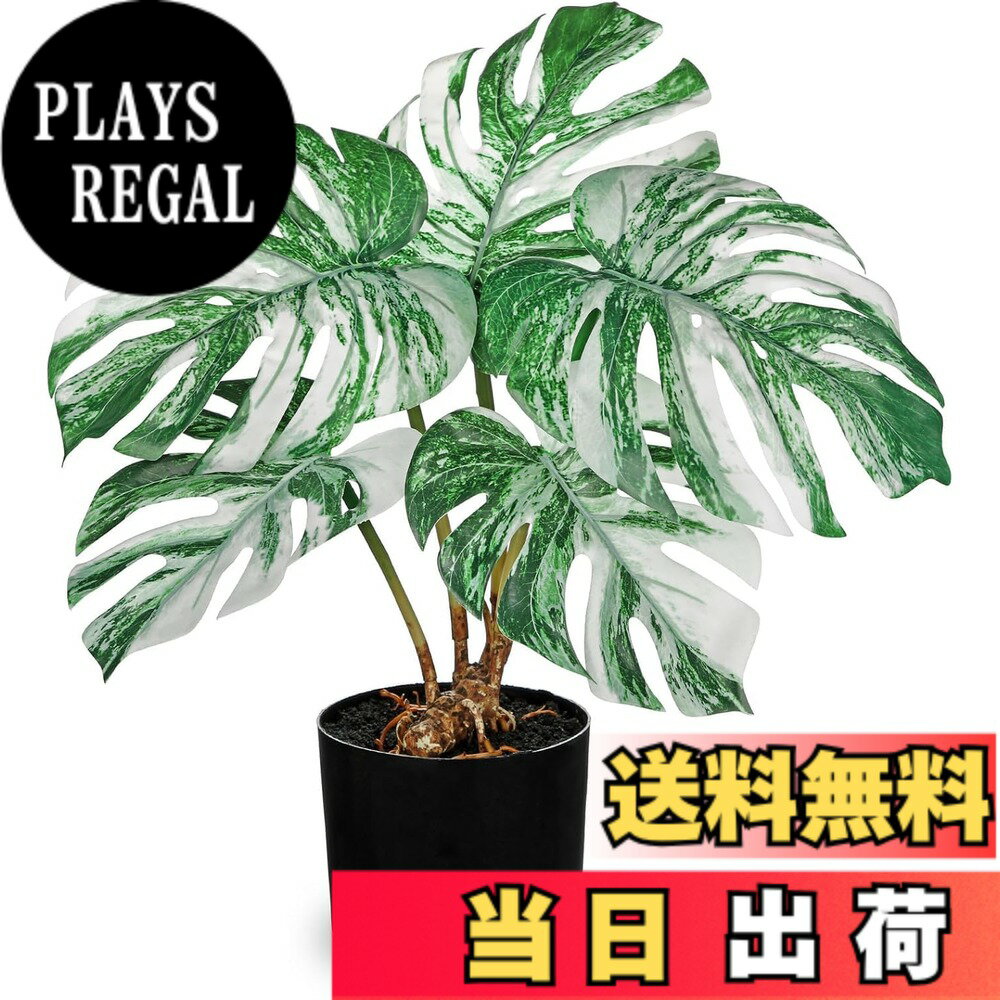 【送料無料】Villa Como フェイクグリーン インテリアグリーン 人工 観葉植物 フェイク モンステラ 室内 大型 簡単保 水やり不要 害虫駆除不要 おしゃれ ギフト 色：白い