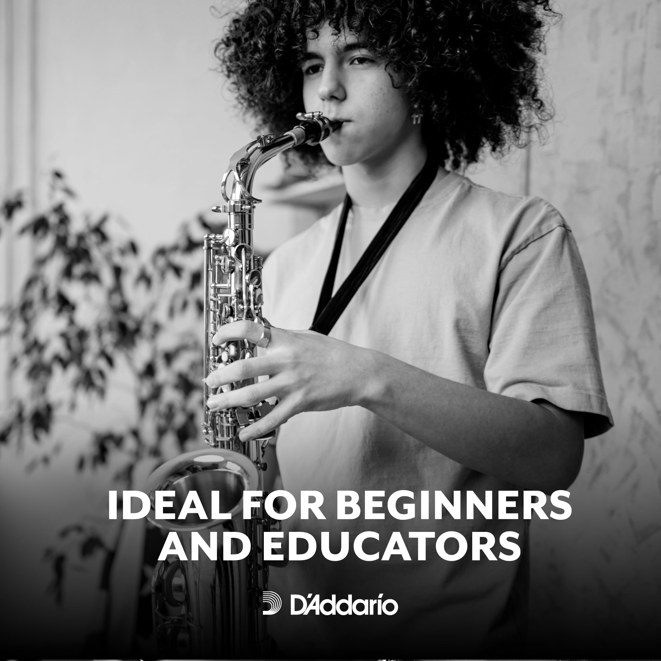 【送料無料】D'Addario WoodWinds ダダリオ リード アルトサックス用 RICO RJA 【...