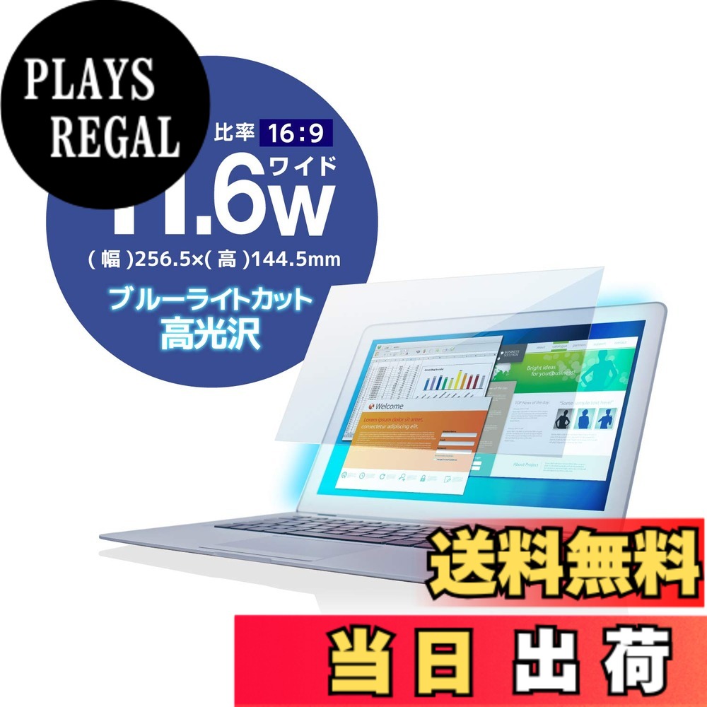������̵���ۥ��쥳�� �վ��ݸ�ե���� ������ �֥롼�饤�ȥ��å� �������ꥢ����������11.6W�����(16:9)256.5mmx144.5mm