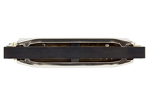 【送料無料】HOHNER ホーナー SPECIAL 20 スペシャル20 10ホールハーモニカ 【国内...