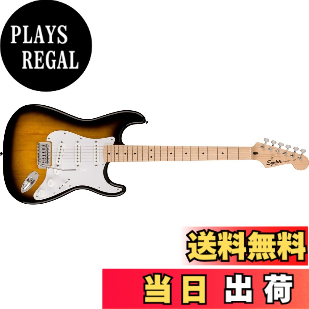 楽天市場】スクワイヤー（ギター用アクセサリー・パーツ｜アクセサリー
