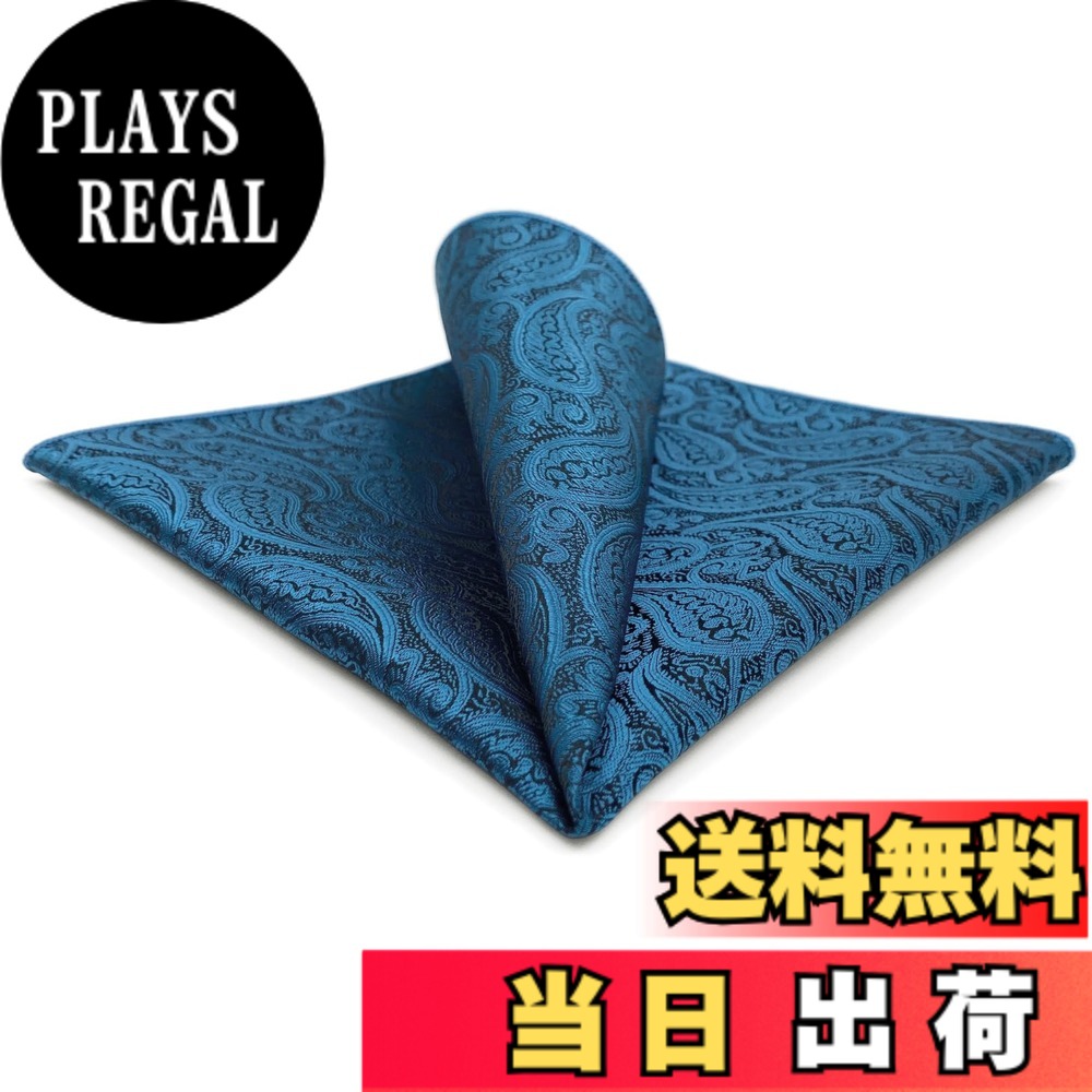 【送料無料】[S&W SHLAX&WING] メンズ ポケットチーフ アソート ペイズリー スーツ ジャケット ビジネス XL 色：BH62、サイズ：BH62