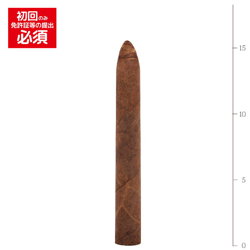 ڥץߥॷۡڥХɥۡ25ۡե֥ꥫ5̡ɡN2ԥߥǡ52RG155mm䡡[ȥڡɷ]ʶ...