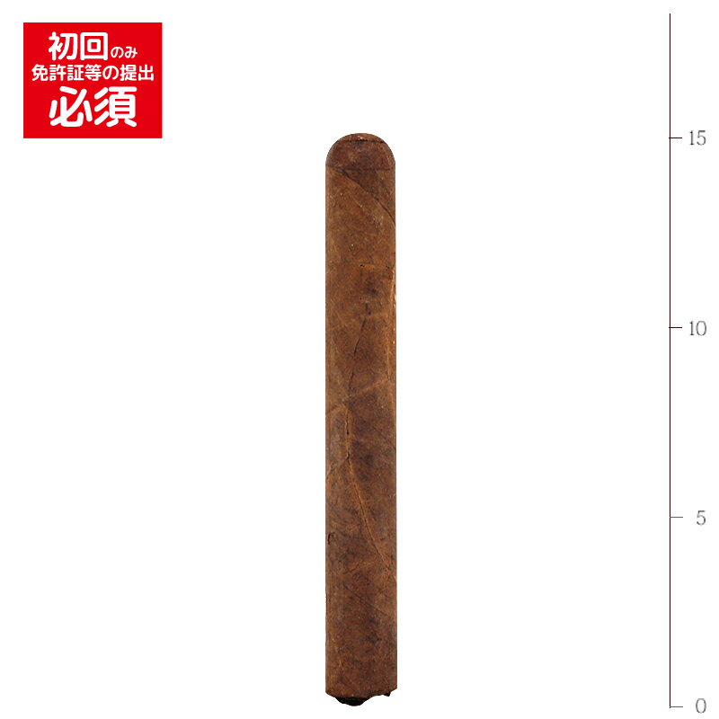ڥץߥॷۡڥХɥۡ25ۡե֥ꥫ5̡ɡN6˥ʡ52RG150mm䡡[ȥ]ʶ...