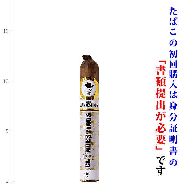 （バラ売り）　クランデスティノス（白帯）ラッシュ　ベグエロ　ロブスト系　127x50RG（強さ：●●●〇〇）