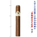 　 　 　商品情報 　 　 　　品名 　ダビドフ　ウィンストンチャーチル 　ザ・コマンダー　ロブスト 　 　 　　英名 　Davidoff WinstonChurchill The Commader　Toro 　 　 　　産地 　ドミニカ共和国 　 　 　　区分 　プレミアムシガー 　 　 　 　 　 　 　 　　サイズ 　54RG（21.43mm）　6 inch（152.4mm） 　 　 　　形状 　Toro (トロ） 　 　 　　時間 　40〜50分 　 　 　　強さ 　ミディアム〜フルボディ 　 　 　 　 　 　 　 　　ラッパー 　エクアドル 　 　 　　バインダー 　メキシコ 　 　 　　フィラー 　ニカラグア、ドミニカ 　 　 　 　 　 　 　 　　メーカー 　　コメント 　　手ごわいコマンダー（司令官）であったウィンストン卿は、自分の支配下にあった多くの軍隊や資源に対する責務を、自分の力強く優れた人格をもって果たしていました。 　　彼は、言葉に対するあらゆる感覚を駆使することができる、文字のクロッサス（巨人）でもありました。トロフォーマット以上にチャーチル卿のこの側面を反映しているシガーはありません。 　　リングゲージがウィンストンチャーチルシリーズ最大であるこのシガーは、まずスパイシー、なめし皮、木、そしてクリーミーで甘い香りを通って、最終的には見事にミックスされた豊かな風味をお楽しみいただけます。 　 　 　 　　輸入元 　ダビドフ オブ ジュネーブ ジャパン 　 　 　　販売店 　リカープラザ大越酒店 　 　 　 　 　 　 　Yuzo 評価　　★　★　★　★　ダビドフの新レシピ？ 　 　 　 　 　 　 　　コメント 　　いったいどれだけのシリーズを出すのか・・・。しかし、一見、どれかのシリーズに似ているだろう・・・と思いましたが、吸ってみると不思議とどのダビドフとも違う味わいでした。 　　先ず、最初に感じたのは上品であること。そしてきちんとした旨みが感じられることです。ニカラグアやエスクリオなどの重厚さというよりも、王者の風格とエレガントさを持ち合わせながら、さらっと風が通り抜けるていくかのような、しなやかさがあります。そして香水ではないですが、残り香というか存在の空気だけが残っている感じです。 　　コマンダー・トロは他のウィンストンチャーチルのシリーズの中で、最も味わいに厚みがあります。ダビドフのグランクリュシリーズに似た要素はありますが、もっと香りと味わいに、定規で線を描いたようなエッジを感じさせます。 　　合わせたいお酒としては、ストラスアイラやスプリングバンクのようなシャープなものでも良いし、マッカラン12年やグレンリベット12年をはじめとするスペイサイド産のシングルモルトなどがおすすめ。コニャックならレミーマルタンVSOPが会います合います。いずれにせよ、とても上品で繊細な味わいなので、酒の味はちょっと薄めかな・・・というくらいの方がシガーの繊細な味わいを堪能できます。そういった意味では、フィーヌなんかも合わせてみたいお酒の一つです。 　 　 　 　 　 　 　 　 　 　 　[愛好家におすすめ] 　[ロングサイズシガー]　［トロ］ 　[長めの葉巻]　［やや太めの葉巻］ 　 　 　 　※　1RG＝0.397mm　1inch＝25.4mm 　 　