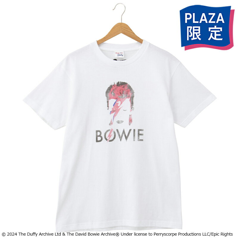 DAVID BOWIE /デヴィッド・ボウイ /Tシャツ