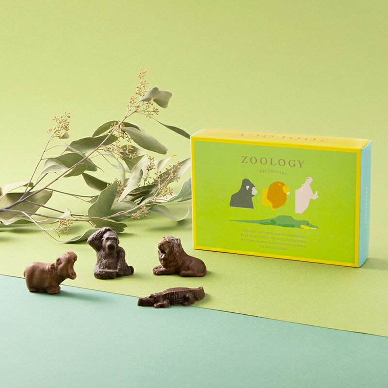 ZOOLOGY チョコレート ディクショナリー Sサイズのサムネイル