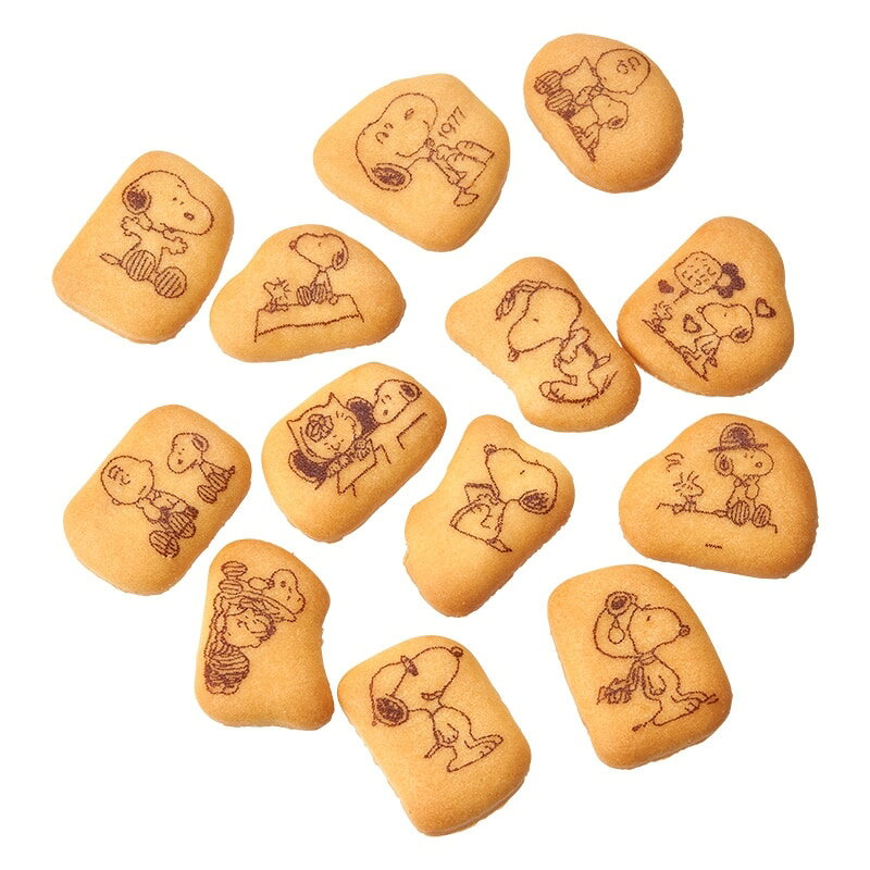 スヌーピー PEANUTS アート ビスケットバッグ