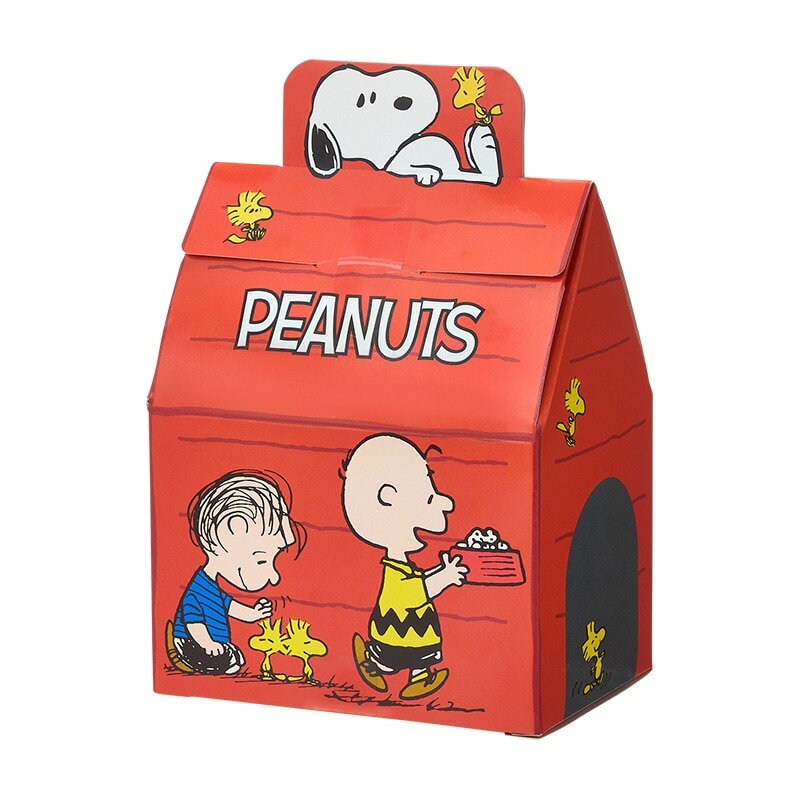 スヌーピー PEANUTS ハウススイーツ ボックス