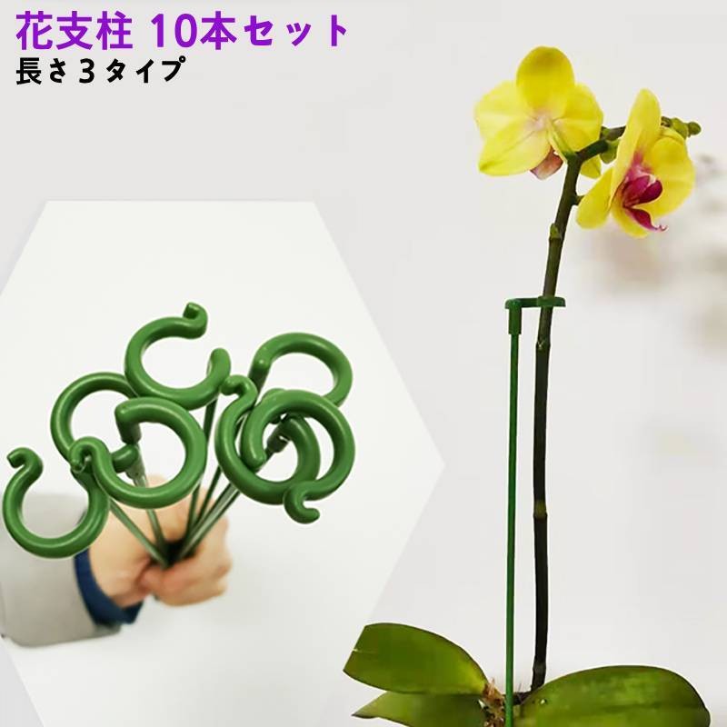 単一の茎の植物を支える花支柱10本セットです。曲がったり絡まったりするのを防ぎ、保護します。 【サイズについて】画像をご参照ください。 【カラーについて】生産ロットにより柄の出方や色の濃淡が異なる場合がございます。お使いのモニターや撮影時の光の加減などにより画像と実際の商品のカラーが異なる場合もございます。予告なしにカラーやデザインなどの変更がある場合もございます。 【素材について】ポリプロピレン
